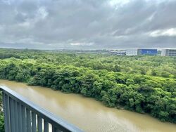 Kingsford Waterbay (D19), Apartment #419718701